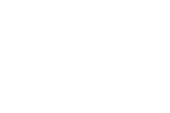 Brighton & Hove City Council Logo