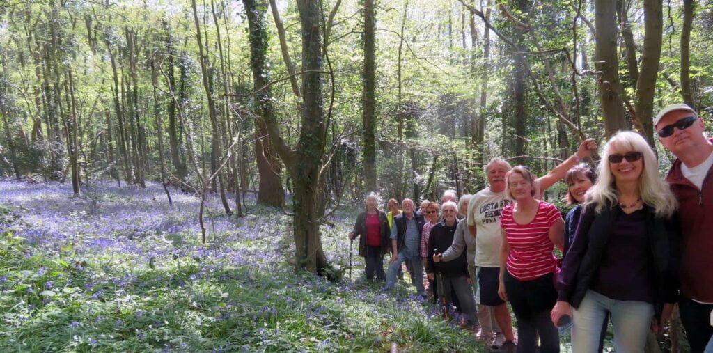 St Leonards Church Wood Health Walk - every Friday
